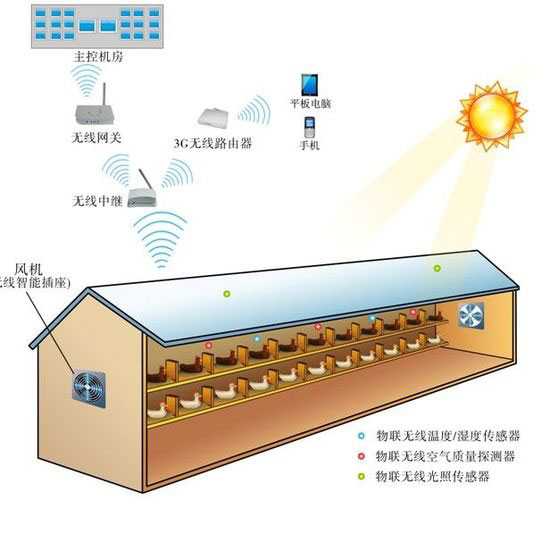 [养鸡场设计图]大棚养鸡场设计图