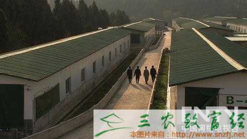 乐山市蓬溪县人口_蓬溪县普安新城规划图(2)