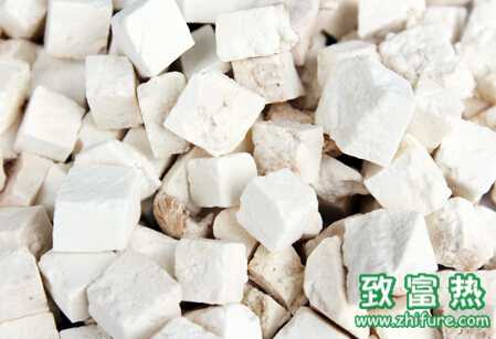 茯苓的科学栽培管理