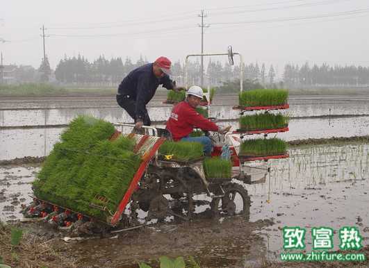 水稻抛秧机的使用及注意事项