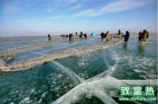 冬季鱼的饲养和管理