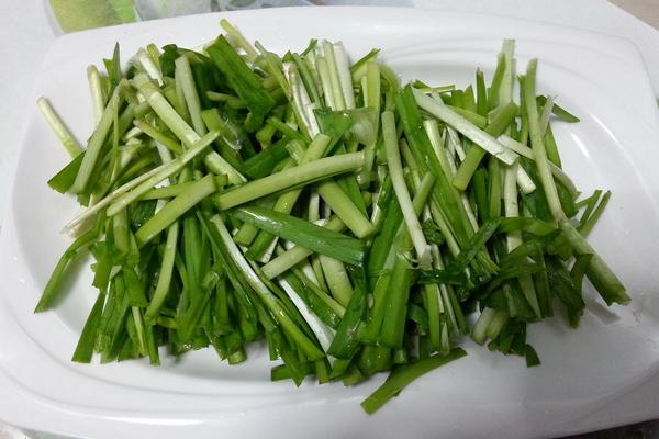 韭菜补什么