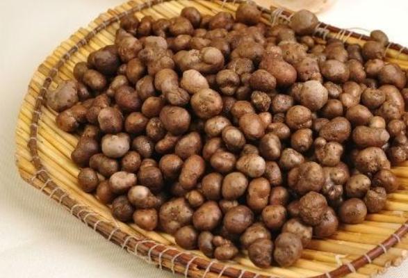 山药豆补肾吗