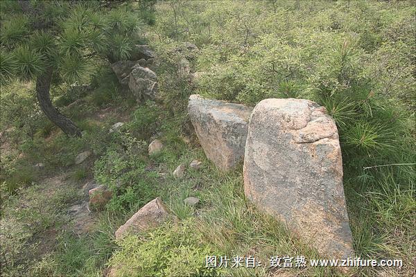 狐狸山真实描述（附谣传内容及图片）