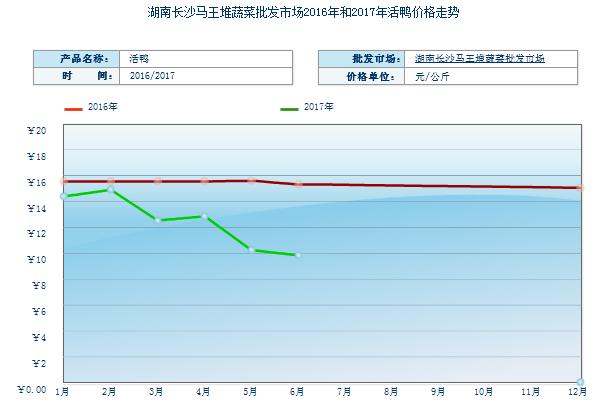 2018养鸭赚钱吗？养鸭的利润与投资成本及前景预测