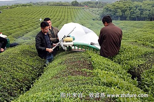 采茶机的正确使用方法