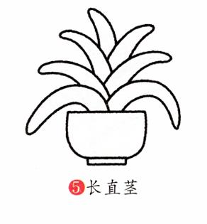 兰花简笔画怎么画（图解步骤）