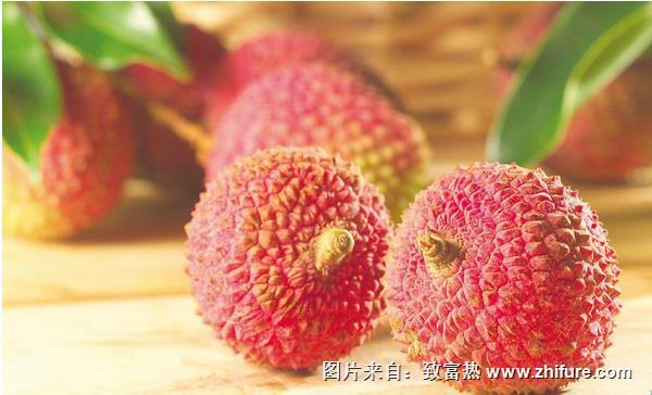 荔枝嫁接技术