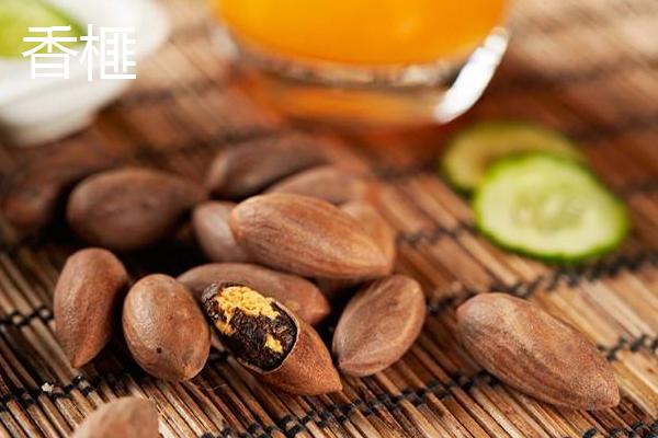 红豆杉、三尖杉、香榧、粗榧、木榧之间的区别是什么 它们的果实都能吃吗