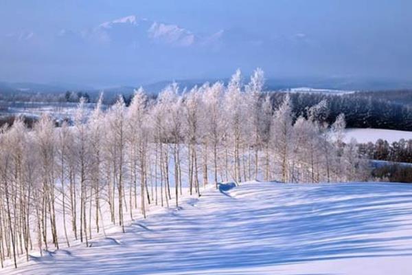 适合冬天旅游的国家有哪些（距离近价格便宜）  适合冬季旅游的国内城市