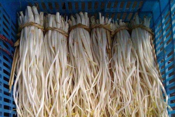 溧阳白芹现在多少一斤？怎么保存？附常见做法